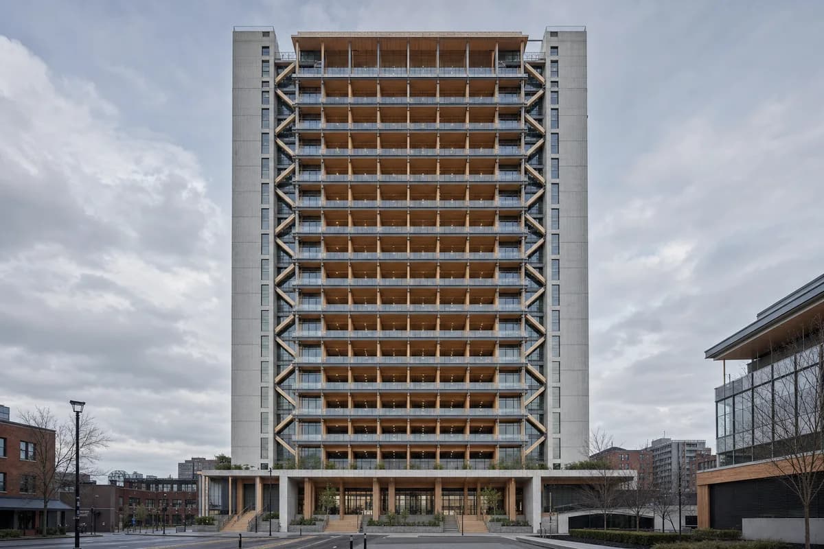 Hybrid-timber workplace tower with expressed braces and shaded sky gardens.