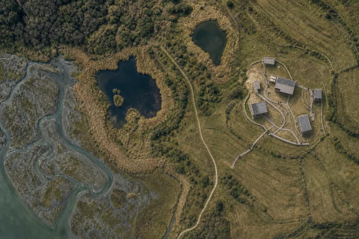 Low research pavilions placed on preserved dry ground within a wetland