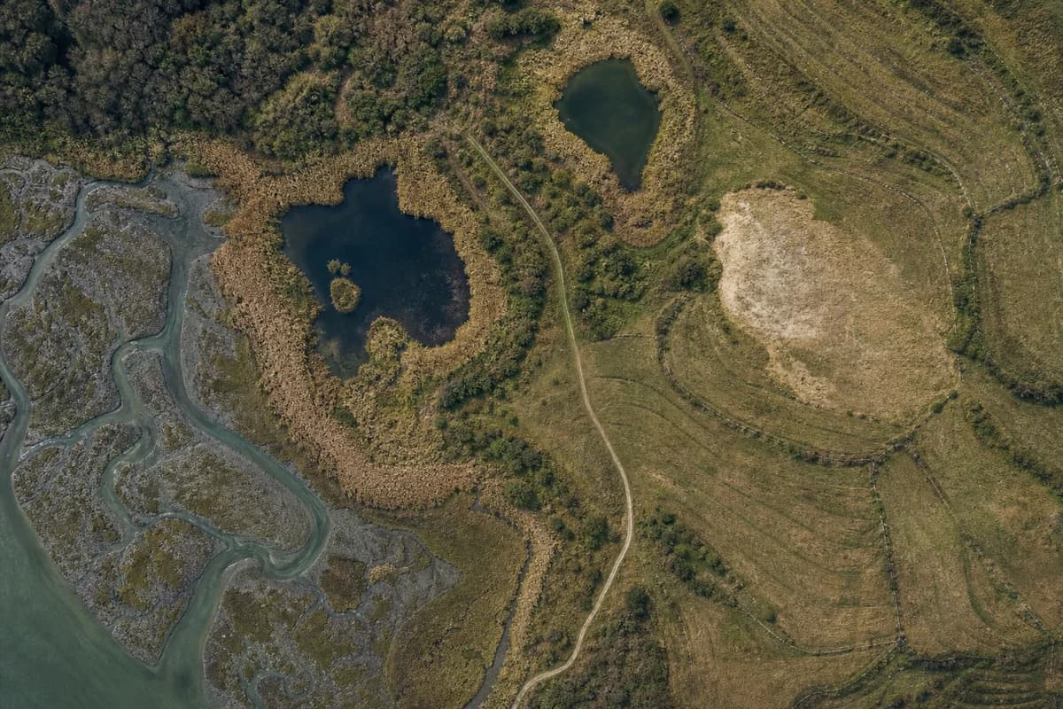 Fictional neutral satellite-style image of a wetland edge